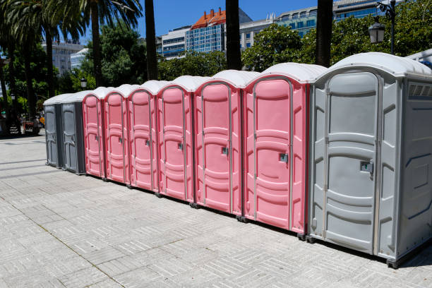 Types of Portable Toilets We Offer in Holly Lake Ranch, TX
